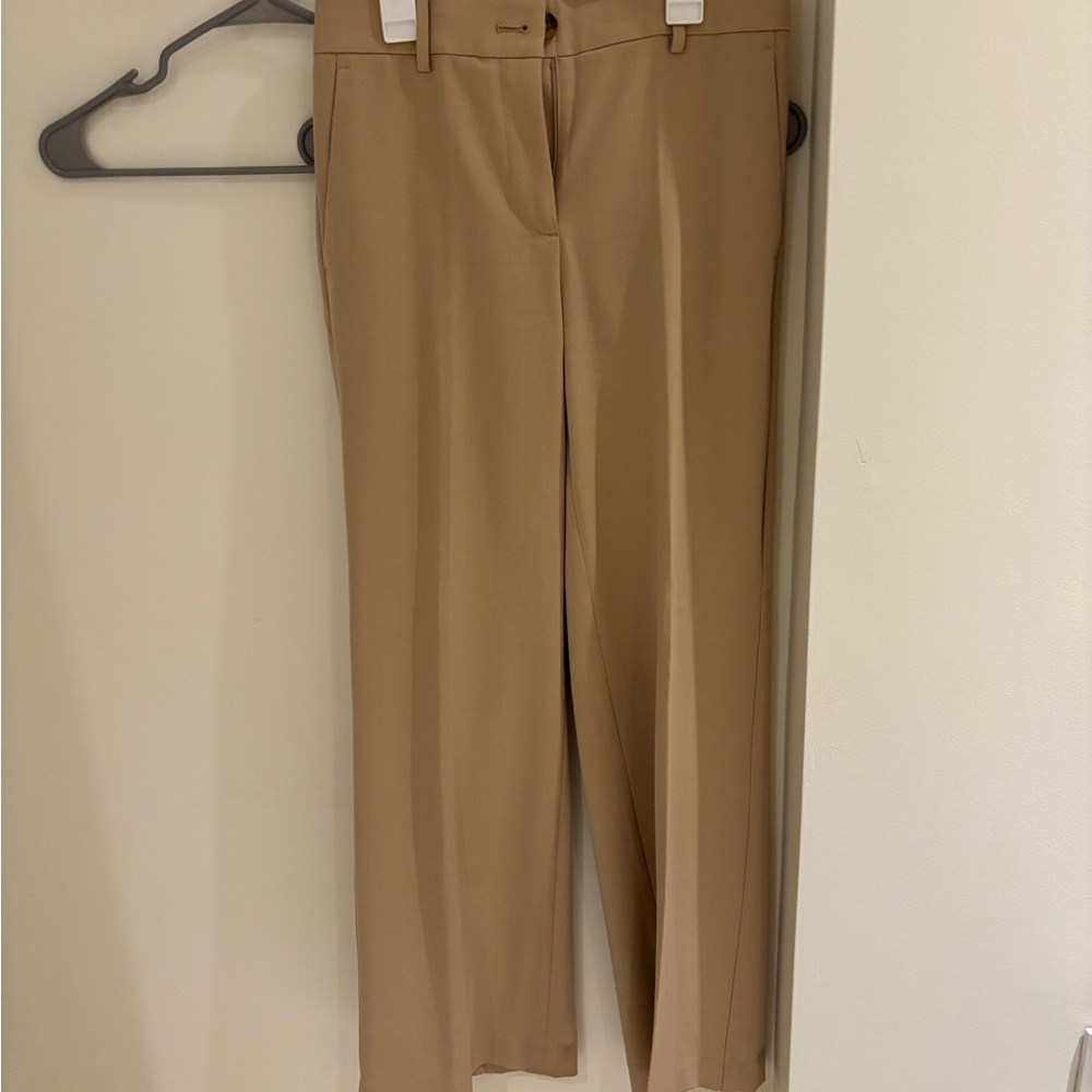 Ann Taylor Tan Trousers